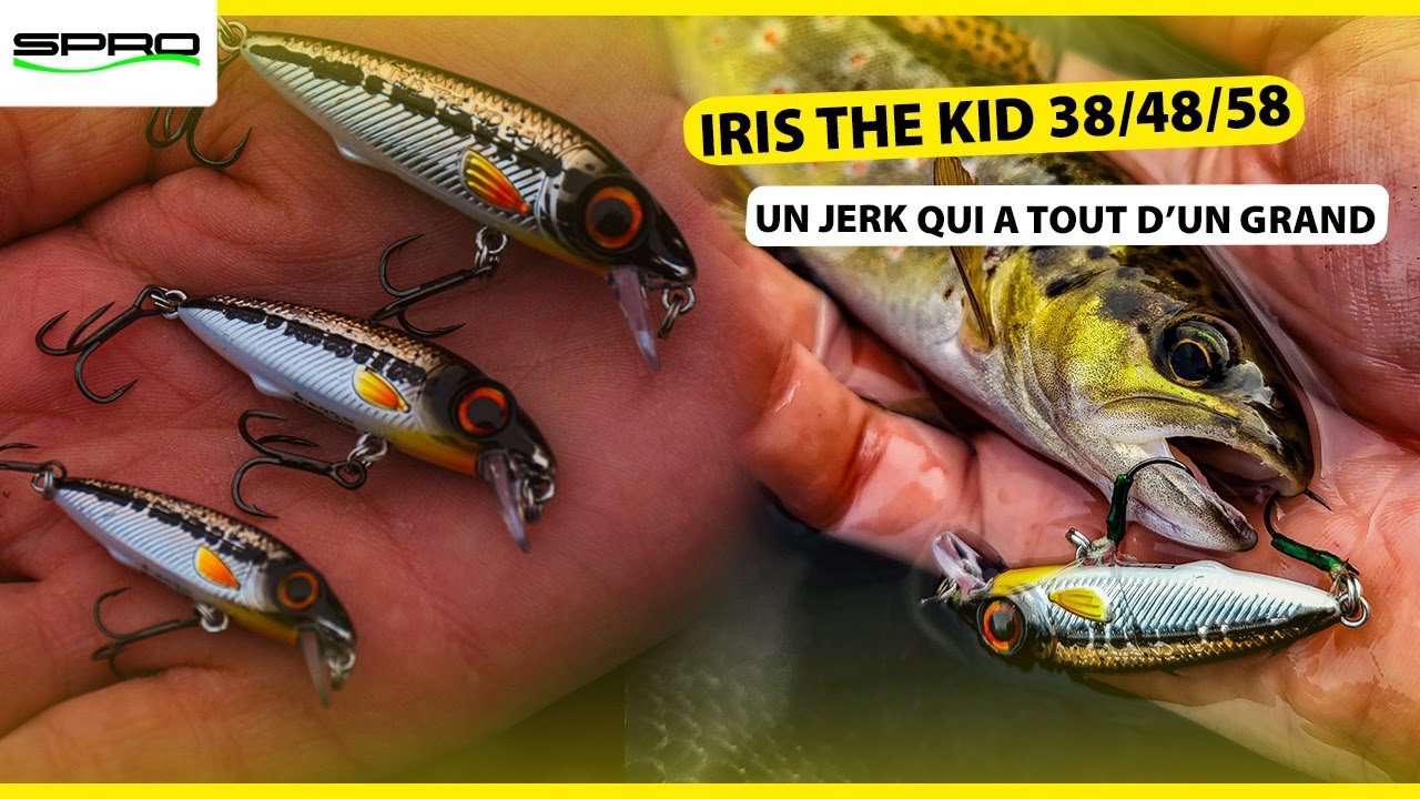 IRIS The Kid – Le Jerk Minnow Redoutable pour la Truite ! 🎣