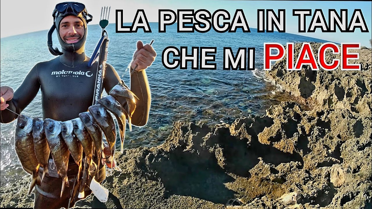 Pescasub: LA PESCA IN TANA CHE MI PIACE - Spearfishing
