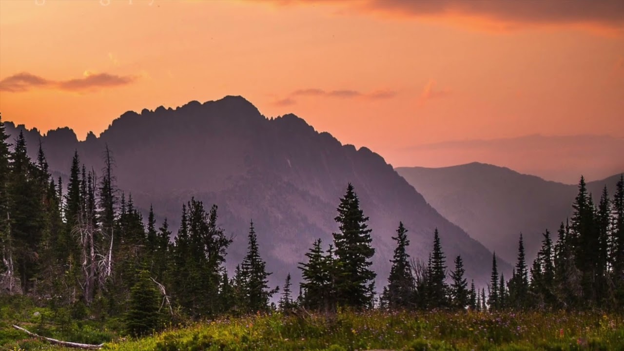 Technics SL-1301 / Sumiko Blue Point No.  3 / Ryan Bingham - 