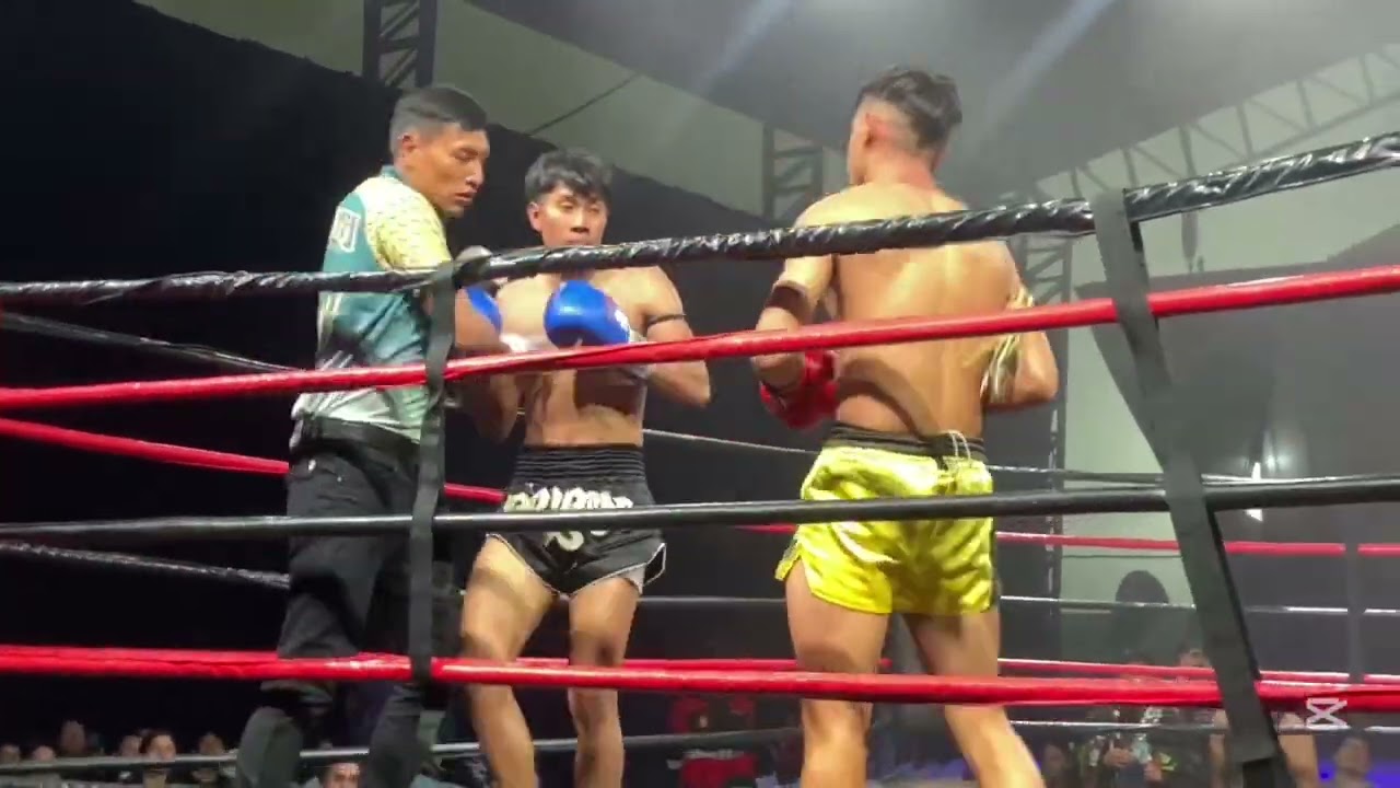 Pelea fight cup 16 