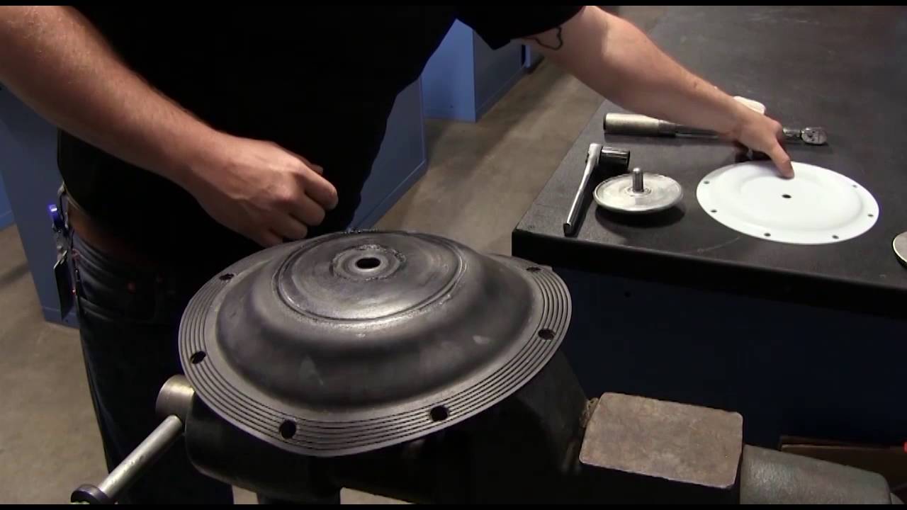 Sandpiper Quick Tip- PTFE and Backer Diaphragm Assembly