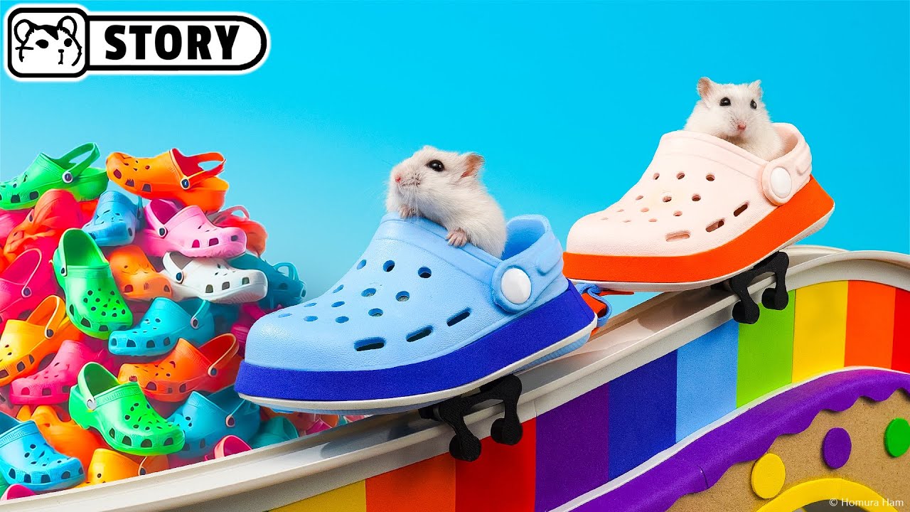 Hamsters in the Crocs Shoe Factory Maze 🐹 Homura Ham