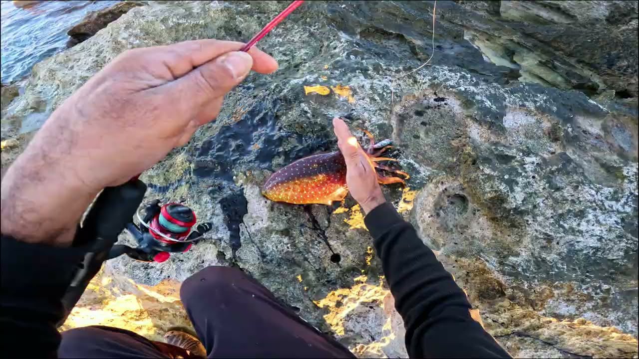 🎣 Epic Solo Fishing Adventure: Hunting 100 lb+ Giants While Having Fun - part 1