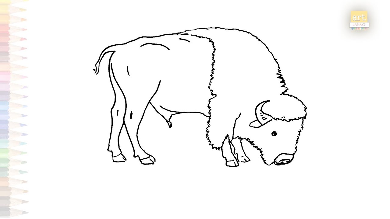 American bison drawing easy | Animal drawing videos | How to draw A Bison step by step | #artjanag