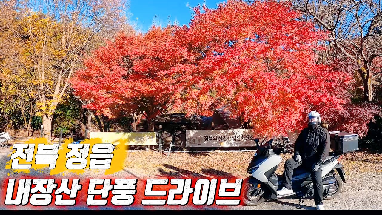 전라북도 정읍 내장산 단풍 구경 당일치기 드라이브 포르자 350 바이크 여행