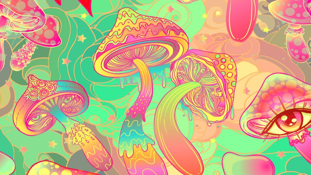 How Mushrooms Changed My Life