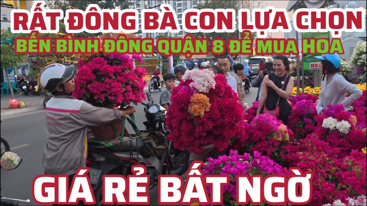 GIÁ SIÊU RẺ . RẤT ĐÔNG BÀ CON LỰA CHỌN BẾN BÌNH ĐÔNG QUẬN 8 ĐỂ MUA HOA, CÂY CẢNH CHƠI TẾT