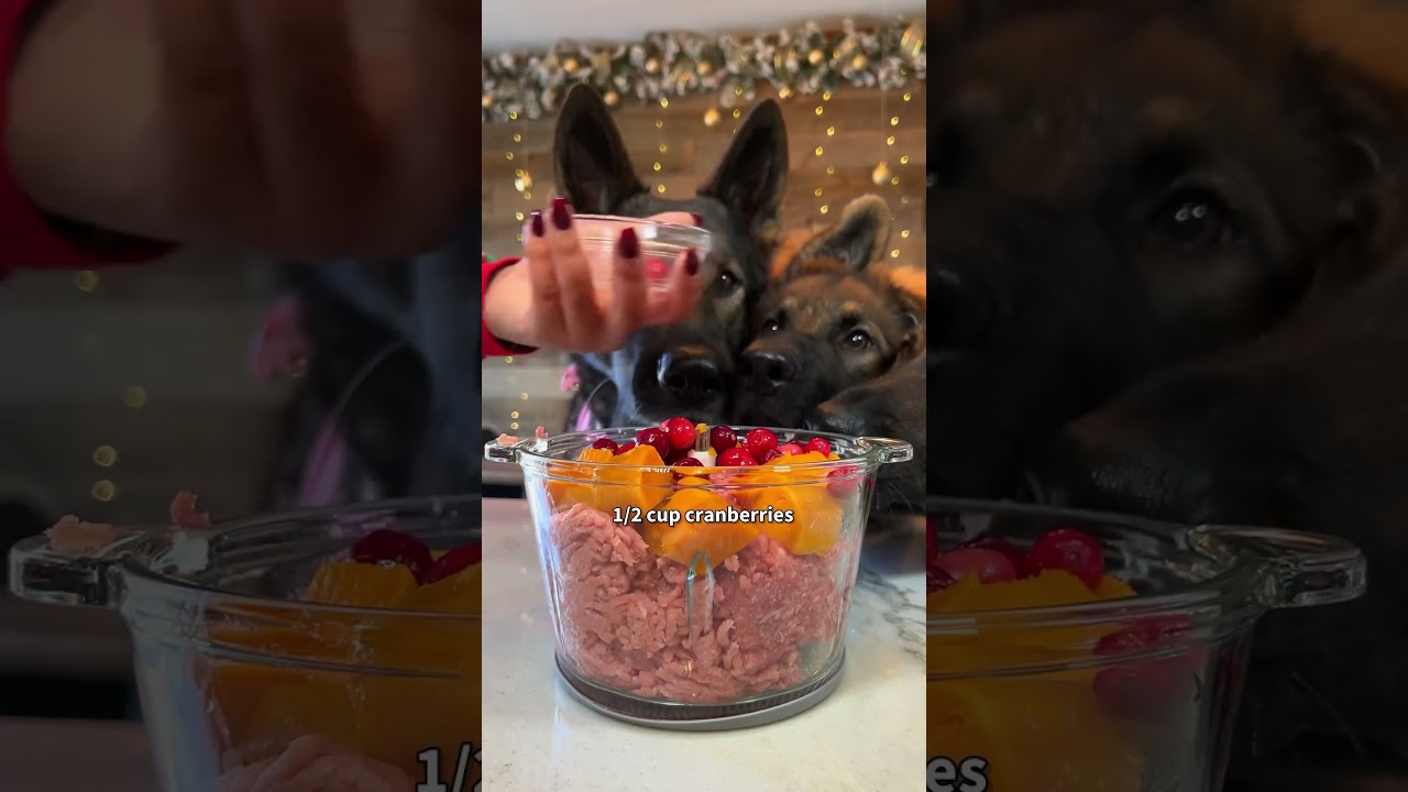 Turducken treats for dogs recipe
