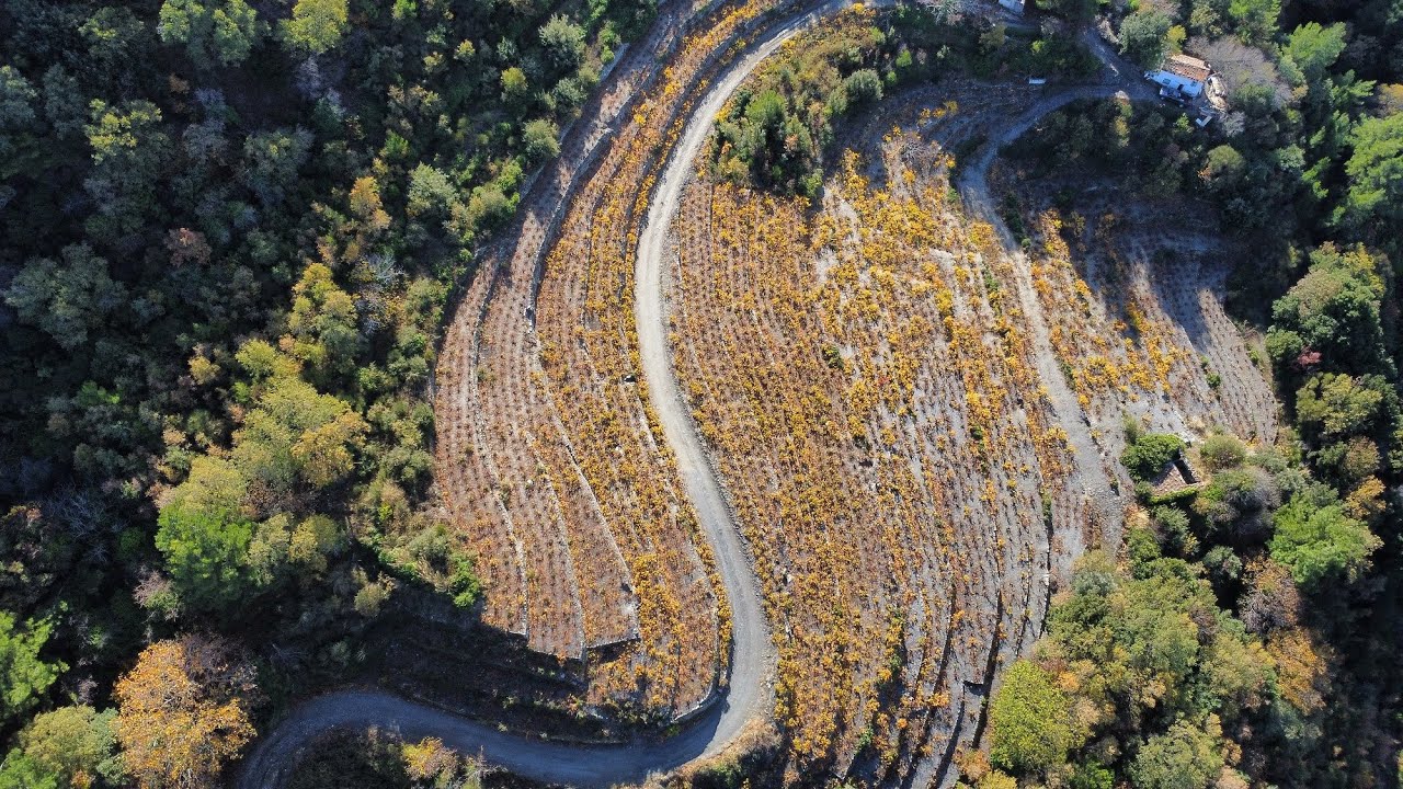 Samos Hiking | Route 23A & 25A | Vourliotes