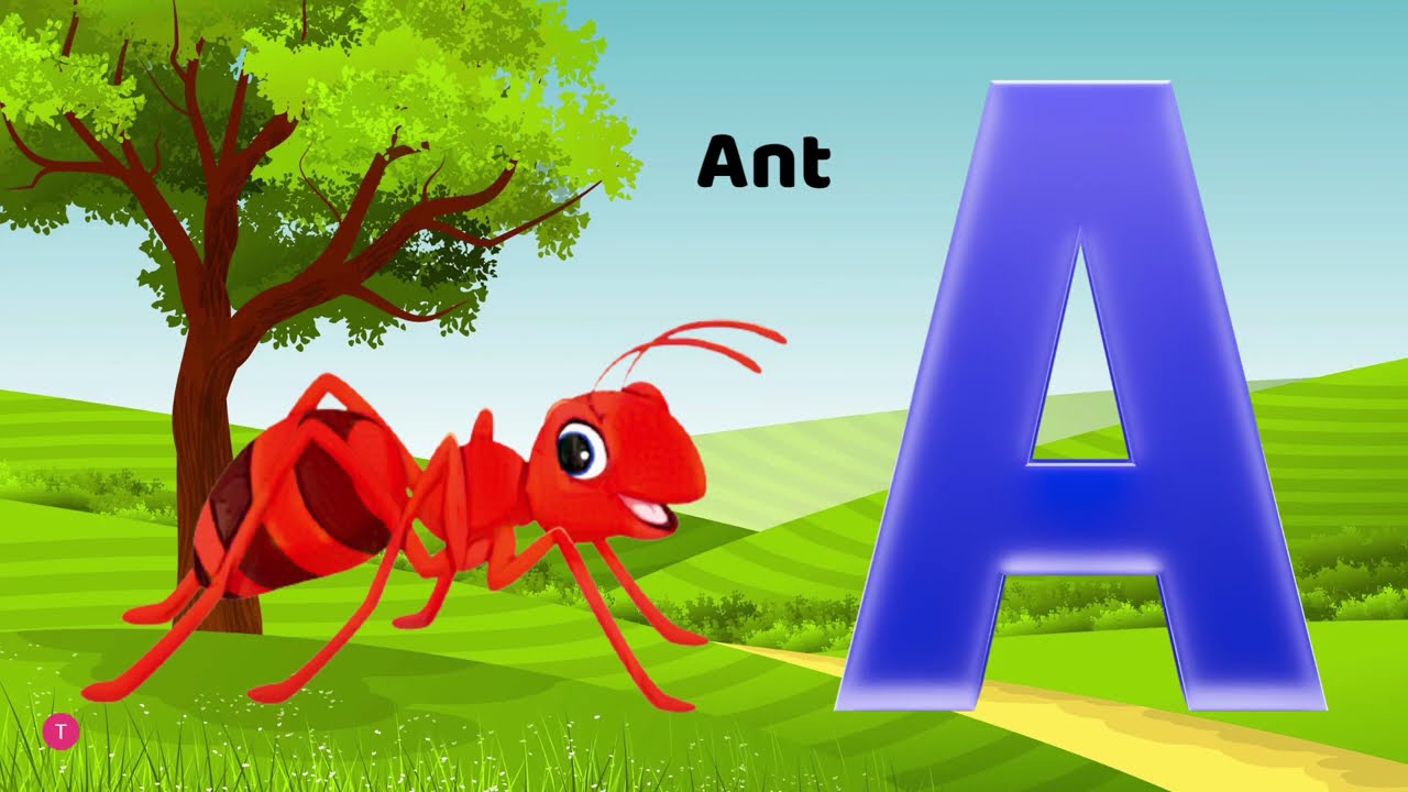 ABC Alphabet — Letter A for Toddlers | Preschool Learning Video