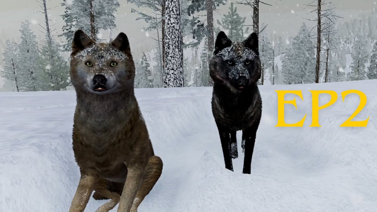 Finding a Mate! WolfQuest EP2 Hellroaring MT Packs