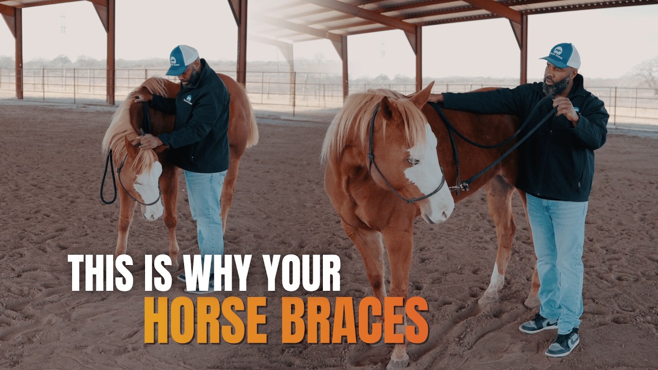 Why Your Horse Braces During Flexion — And How Advanced Flexing Fixes It
