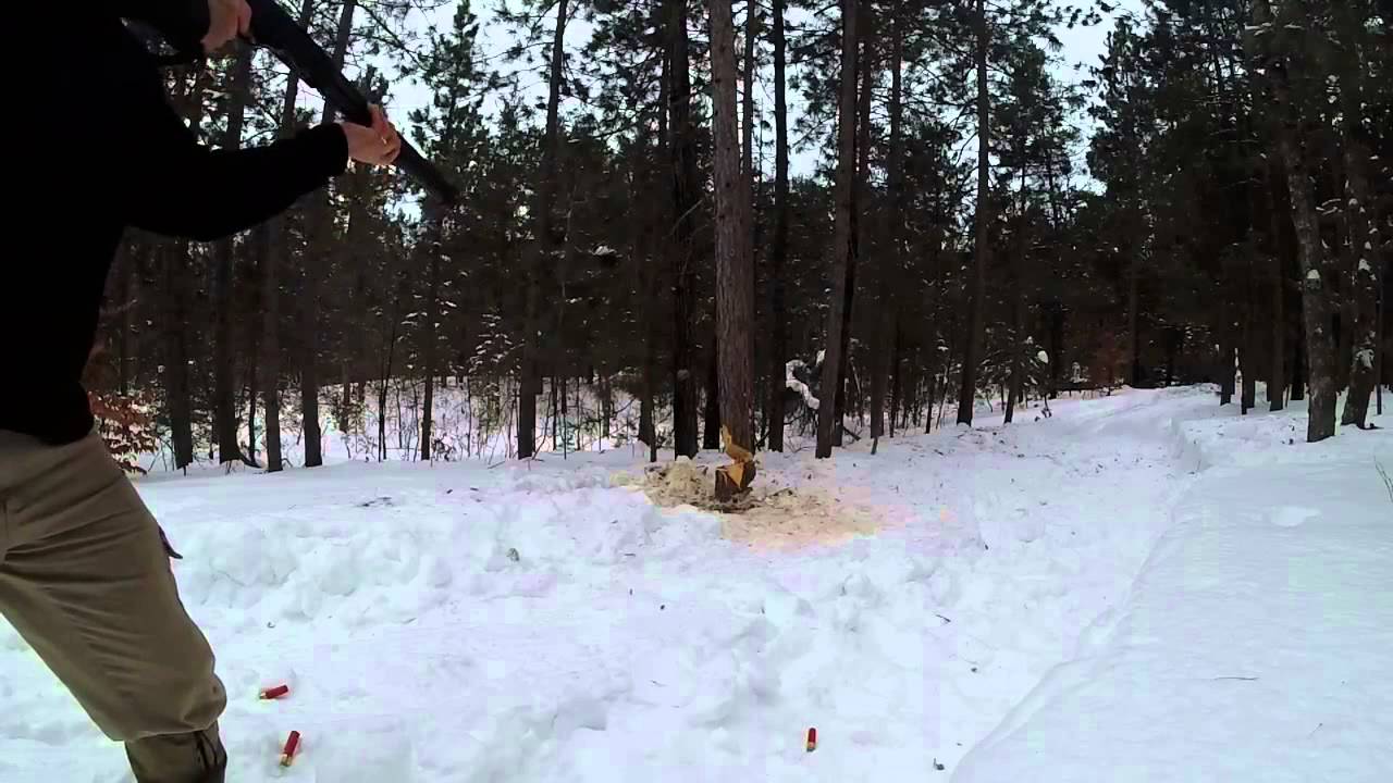 GoPro: Area Man Shoots Down Stuck Tree!
