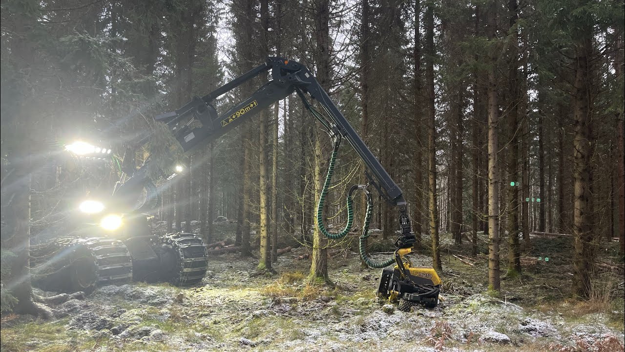 John Deere 1170g h212 i gallring som tidigare gallrats av beståndsgående maskin.