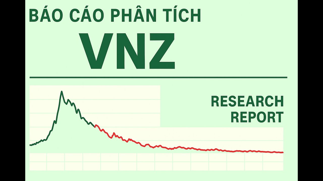VNZ Stock's Paradox