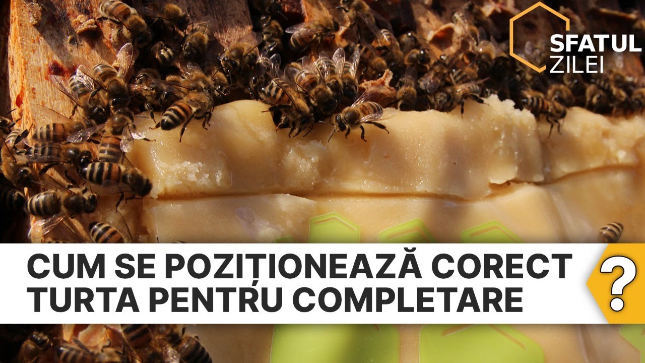 Cum se pozitioneaza corect turta pentru completare?