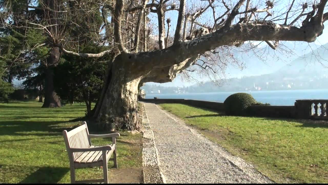 Tremezzo- Parco Olivelli Gennaio 2011