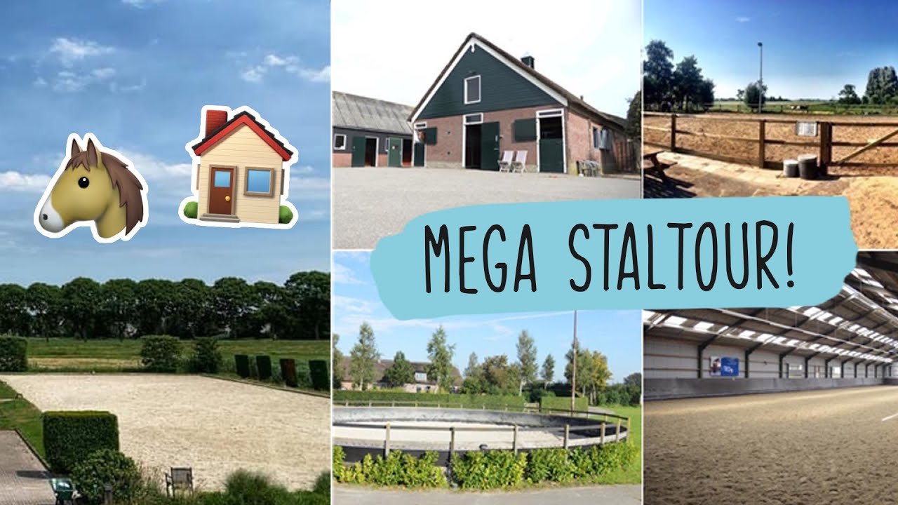 MEGA STALTOUR + Winnaars Bekend | #42 | HorseFitShop