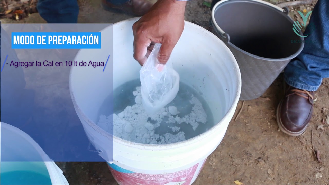 Preparación Caldo Bordeles