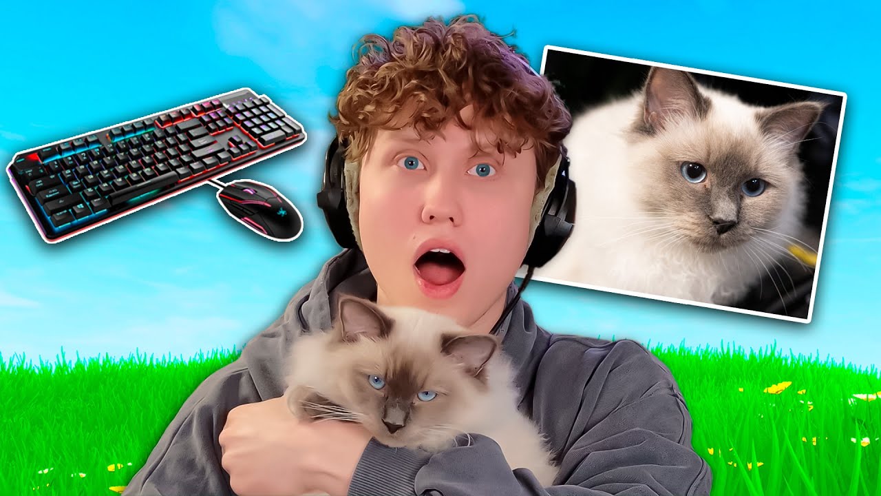 Jeg Spiller Fortnite Med Min KAT!
