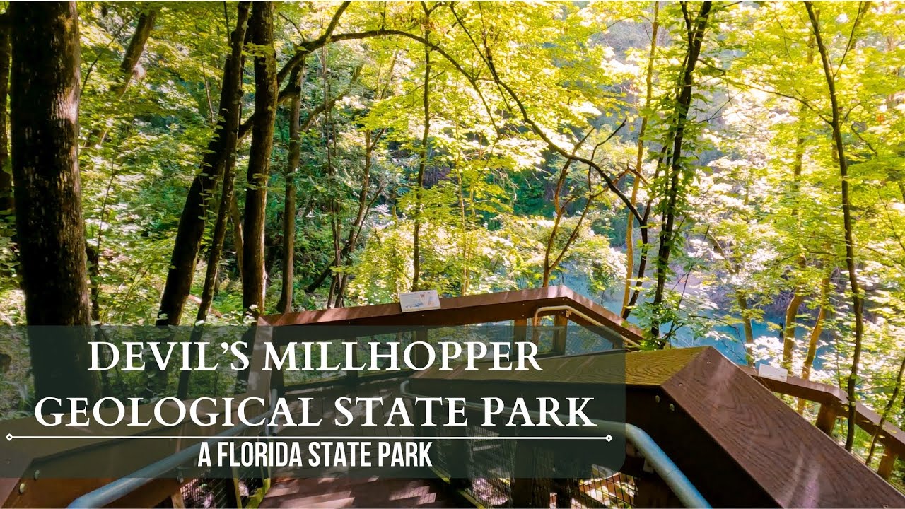 Devil's Millhopper Geological State Park | Gainesville, FL