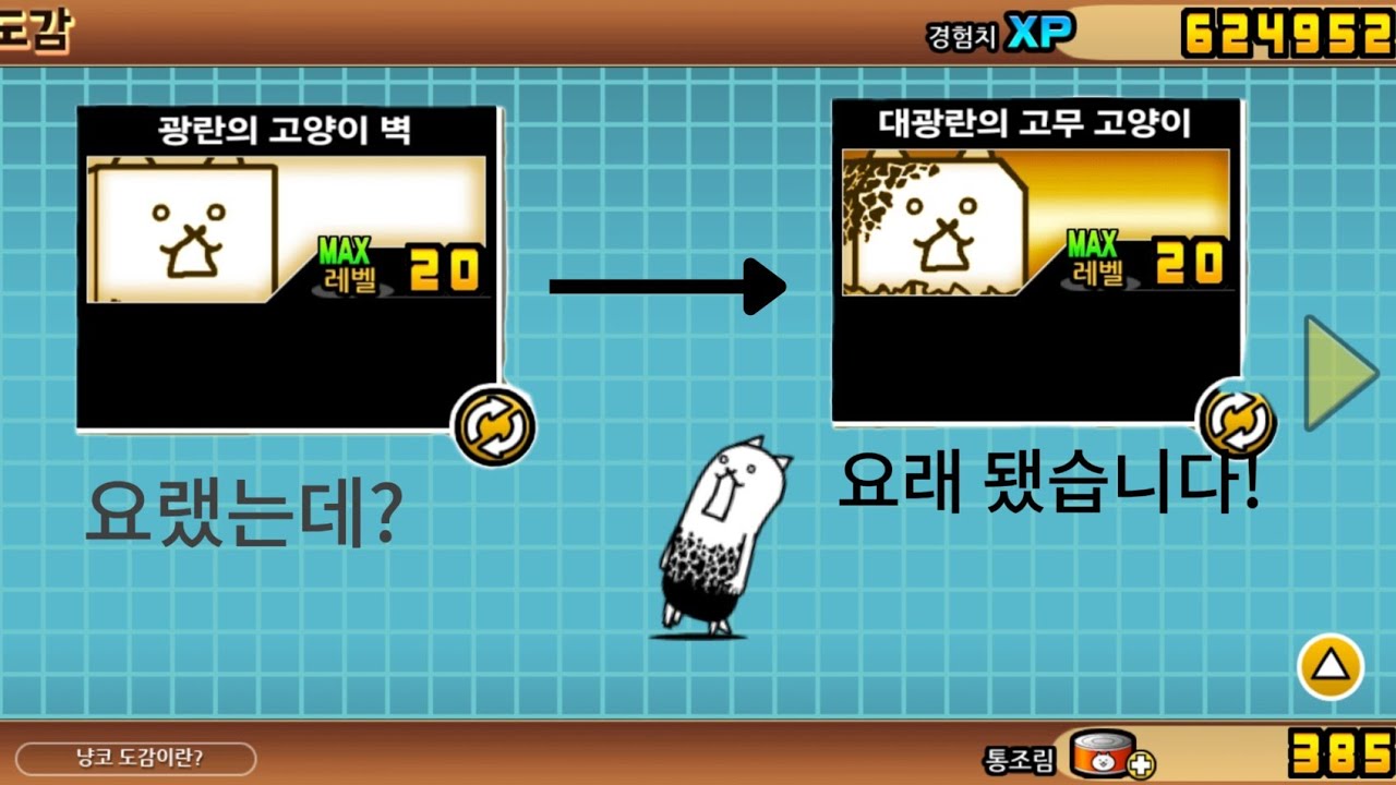 최강의 벽 대광란의 벽 클리어!
