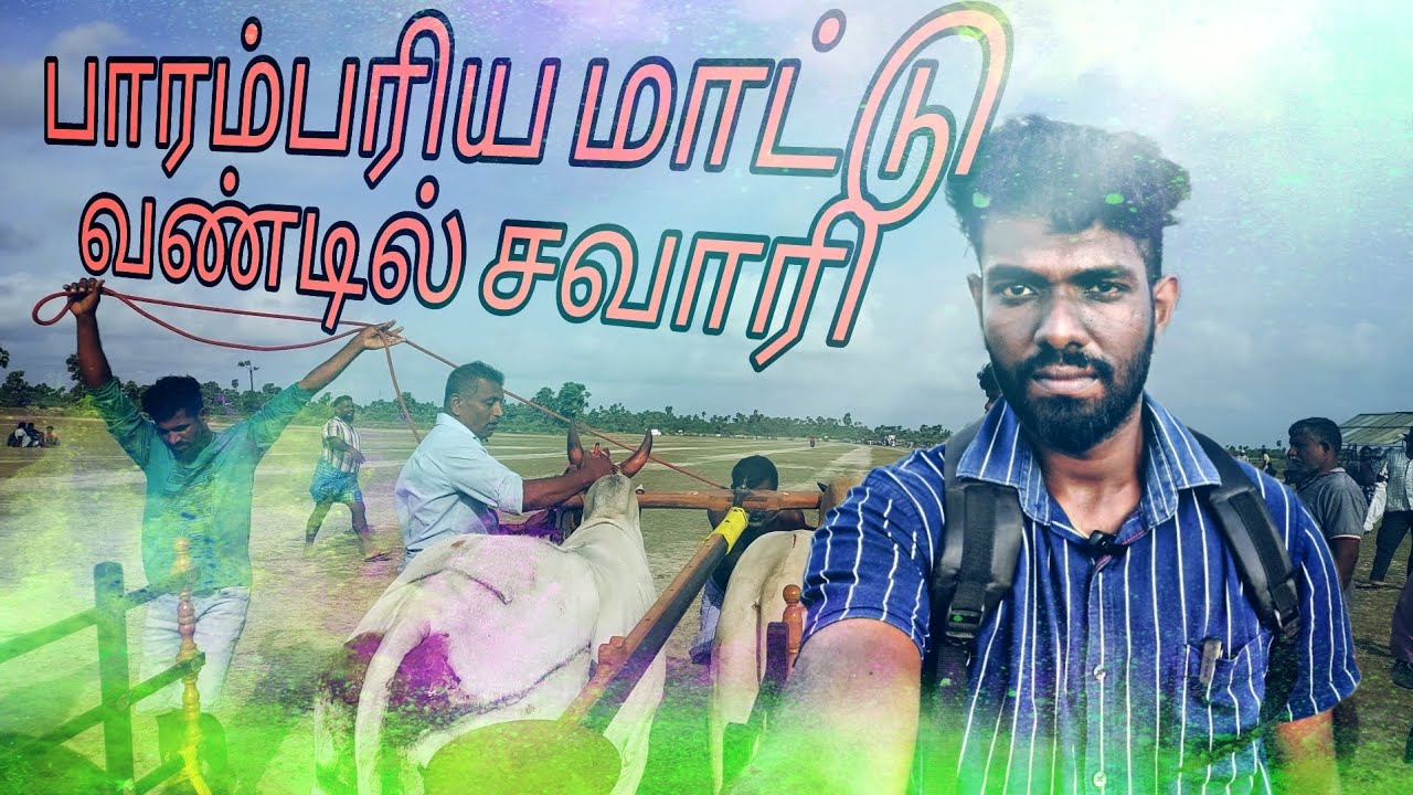 மாட்டு வண்டில் சவாரி | வட்டுக்கோட்டை | அராலி |Jasoviews #jaffna #village