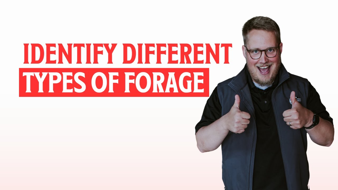 Identifying Different Types of Forage