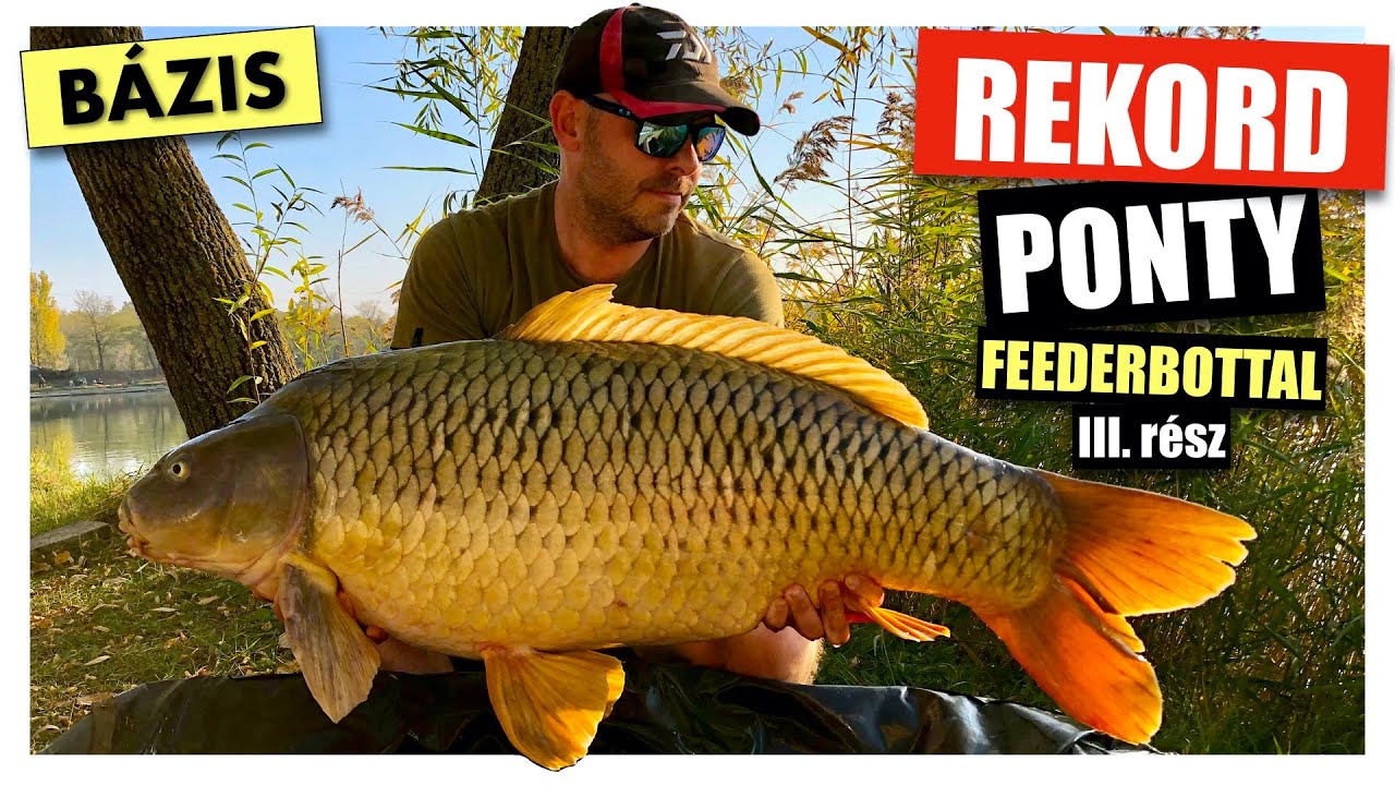 Bázis horgásztó - Rekord! - Feederbottal 20 kiló felett!