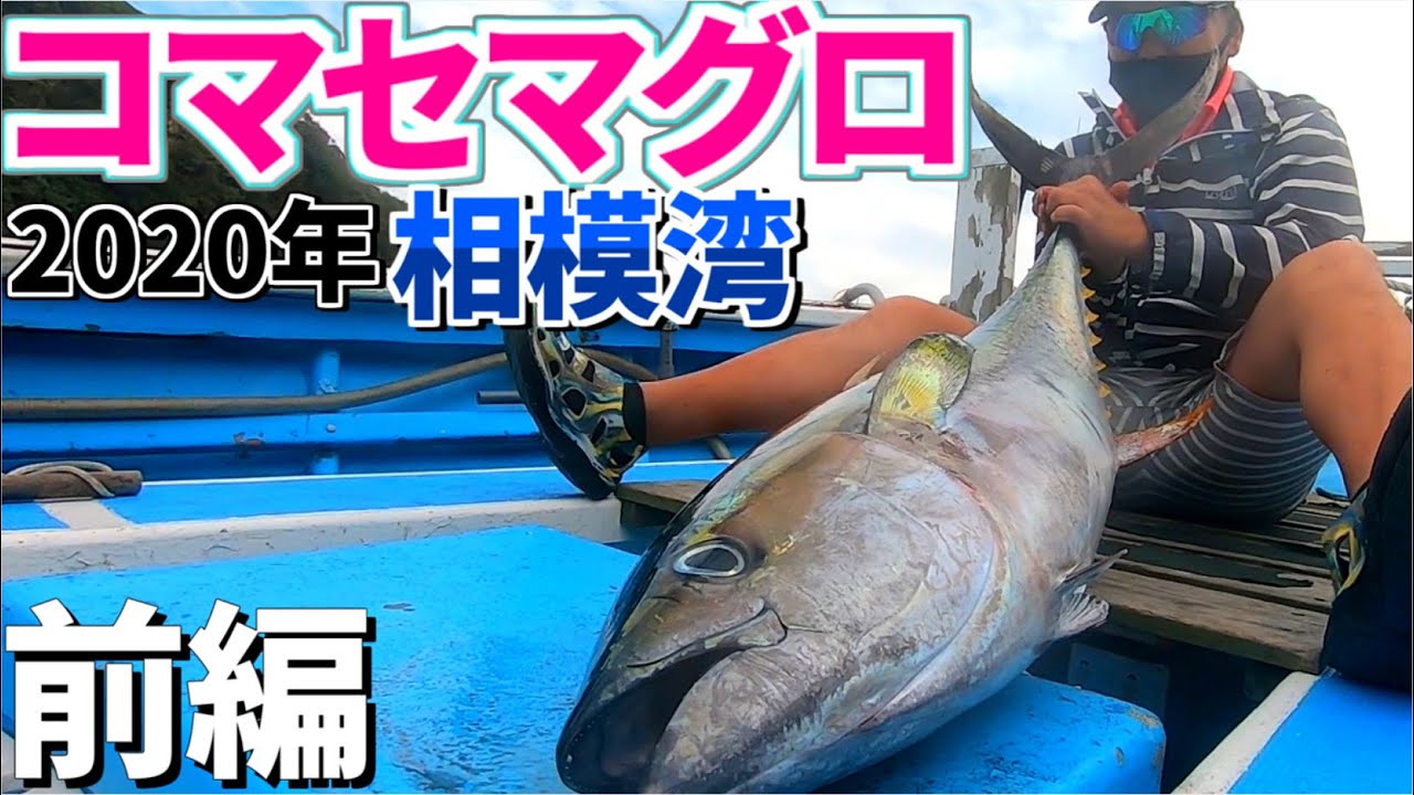 【コマセマグロ釣り】9月が本番‼︎相模湾キハダ釣り ◆前編◆ 二宮丸  キハダマグロ釣り【マグロ釣り】【コマセキハダ】
