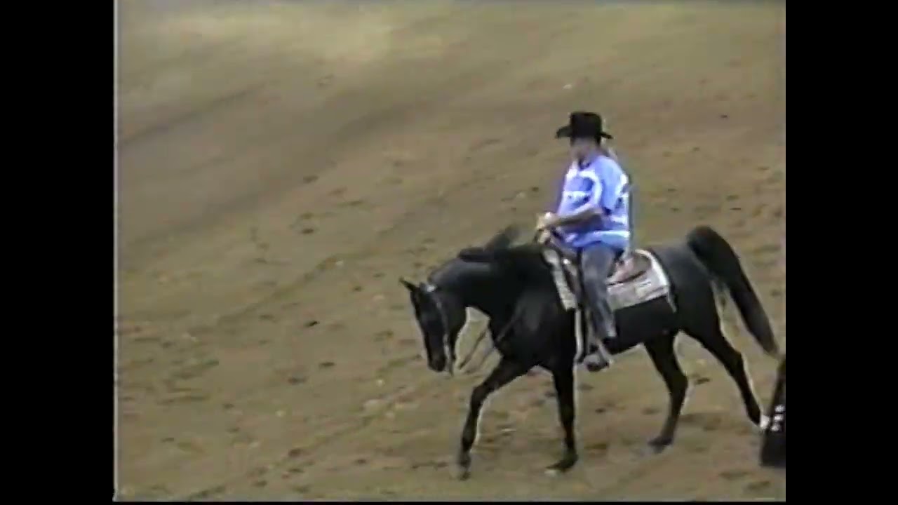 Donoghue Descended Arabians - The Crabbet Connection