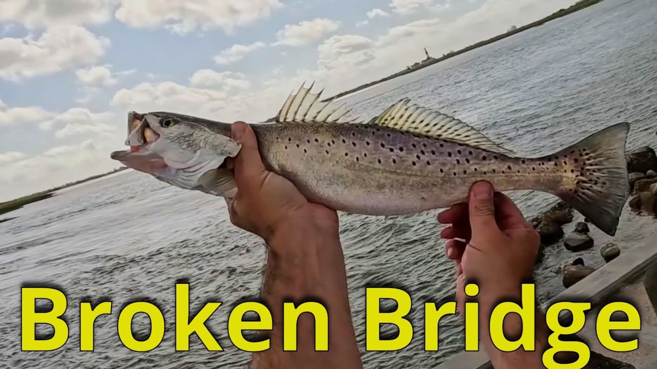 Fishing the Most INFAMOUS BRIDGE in GALVESTON County - East Bay (BOLIVAR) #galveston #speckledtrout