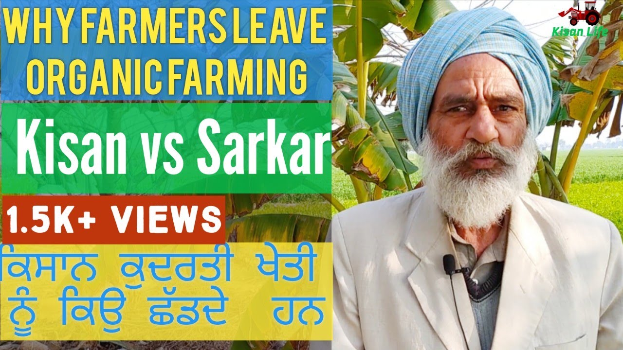 #Natural #Farming लोग क्यो छोड़ते हैं,Why Peoples leave Organic Farming|Kisan life|#Organic #Farming