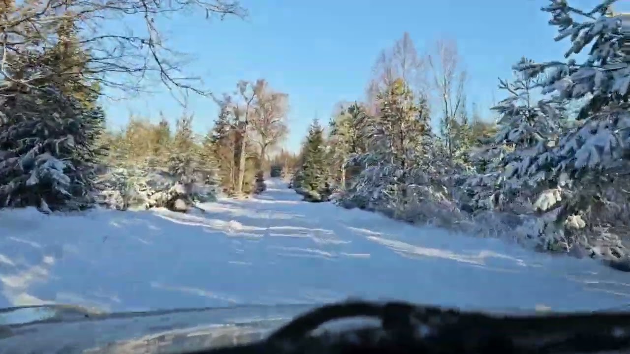 Querfeldein am Bolmen im Winter 24(2)