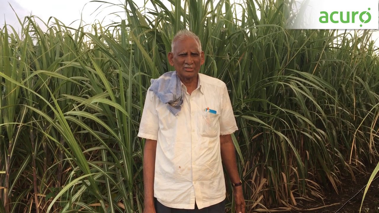 Increase Sugarcane yield with Acuro