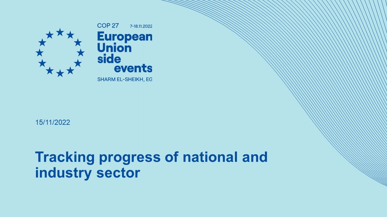 Tracking progress of national and industry sector actions towards global net zero emissions