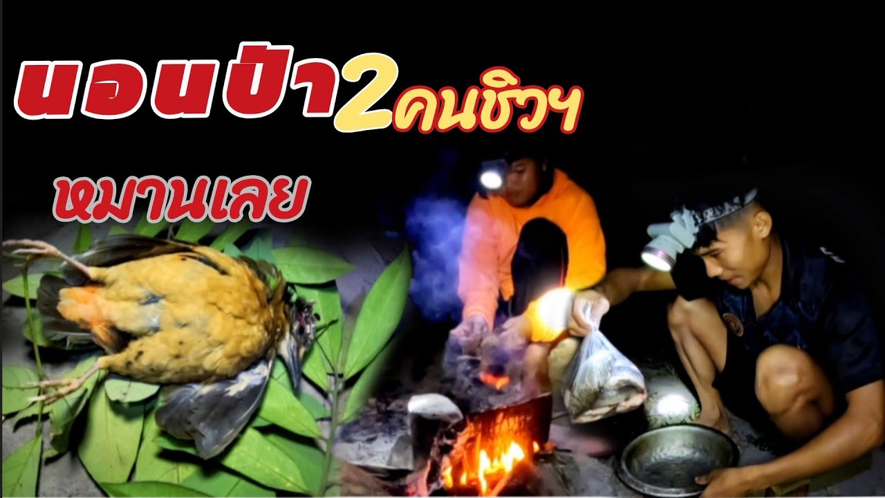 15 มกราคม ค.ศ. 2026พาสาวแอร์เข้าป่าวันแรกหมานคักฯ//ພາສາວແອເຂ້າປ່າຫມານໆ