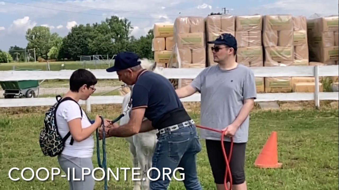 Col cavallo! - Il Ponte coop sociale