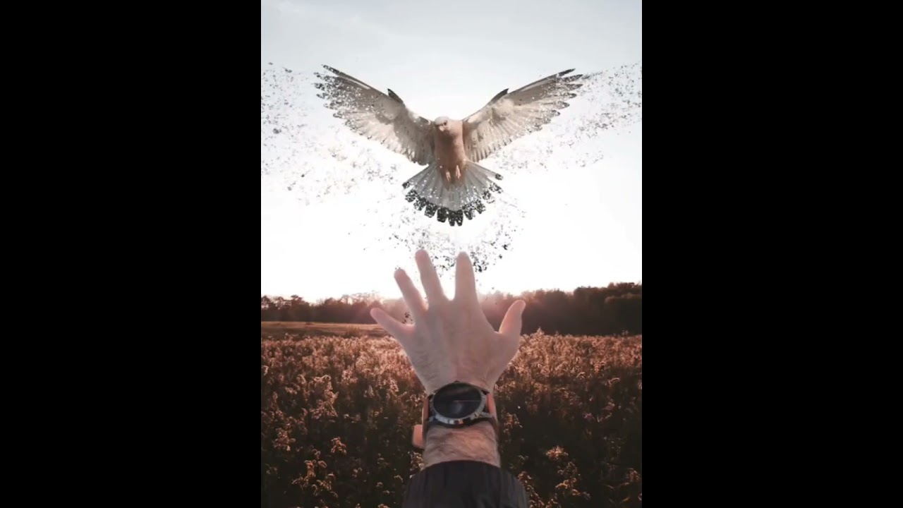 Coldplay - Magic ( Factor B Remix )