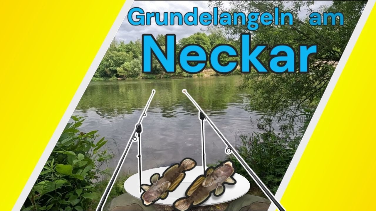 Grundeln angeln am Neckar mit Calamaris! Überraschend fängig & einfach – so geht’s!