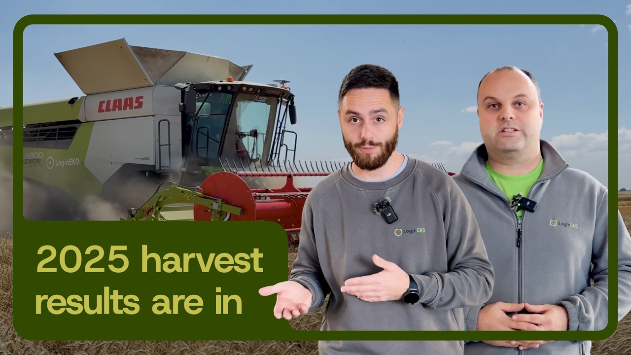 Our 2025 Harvest Results | Organic Yields, Grain Quality & Field Operations