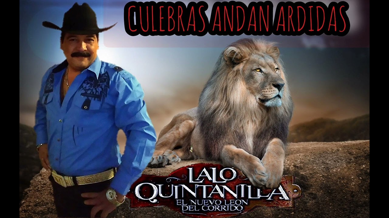 LALO QUINTANILLA CULEBRAS ANDAN ARDIDAS Compositor EL PLEBE GUERRERO D.A R