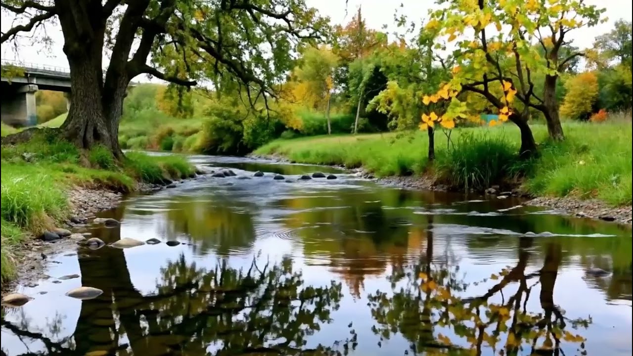 Unwind and Relax with the Soothing Sounds of a River and Bird Songs