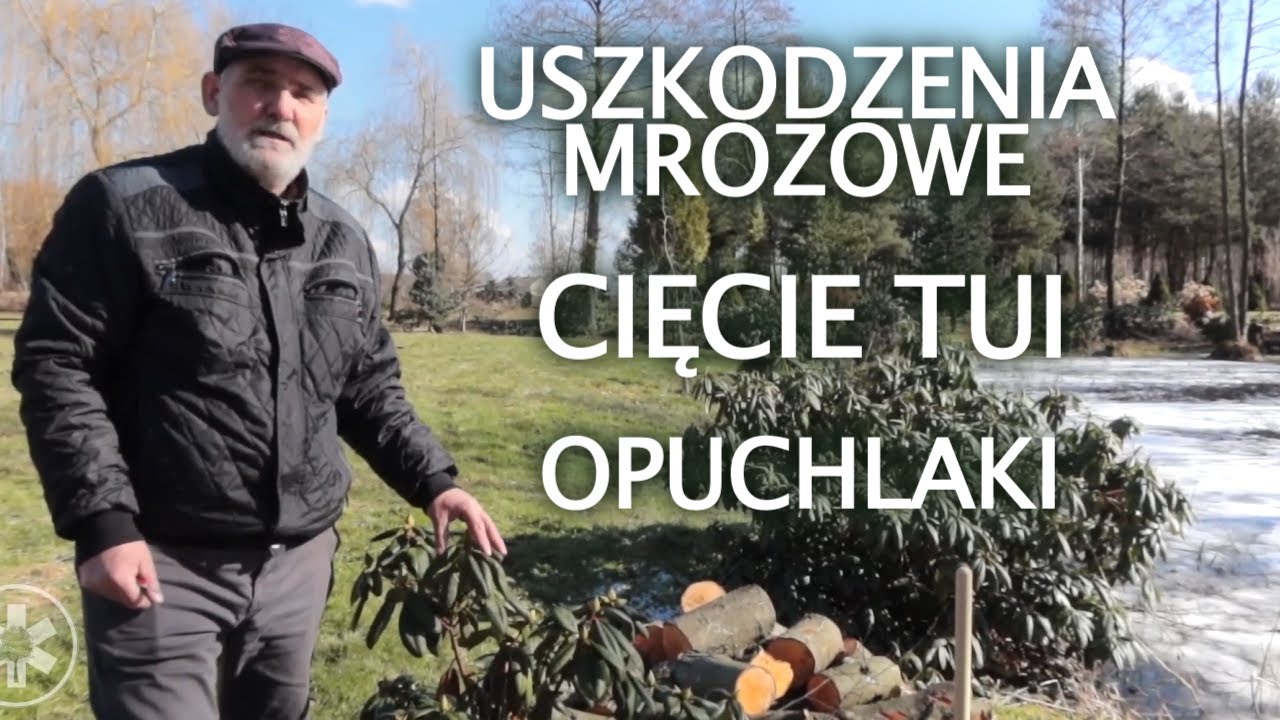 Kompendium wiedzy ogrodniczej - zadania na kwiecień cz. 1
