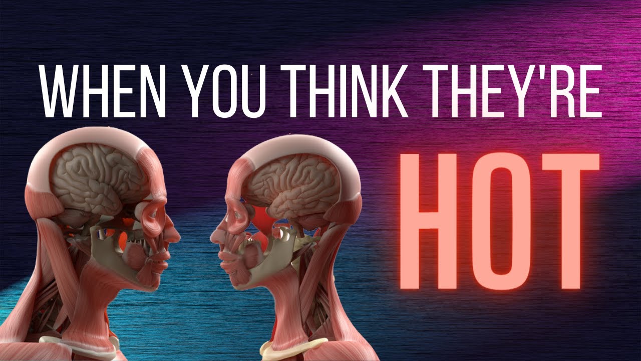 The Social Neuroscience of Attraction