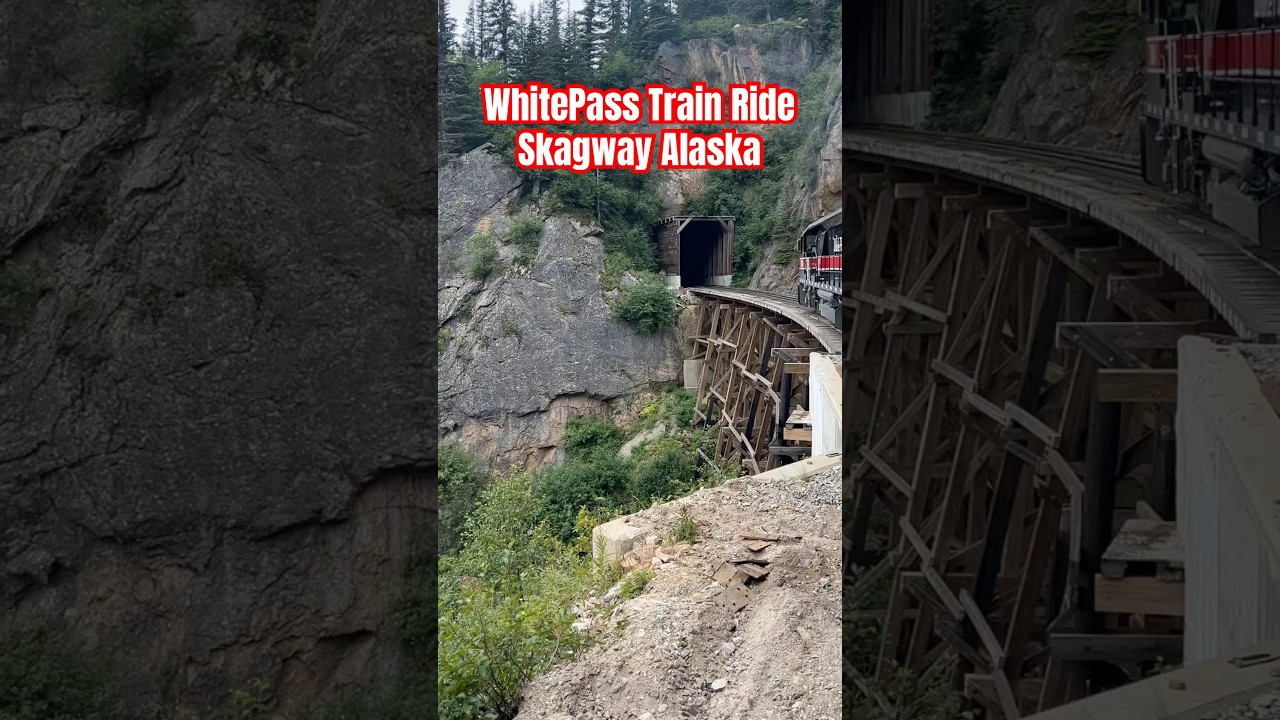 Experience the most stunning train journey ever #scenictrain #alaskatravel #mountain #trainadventure