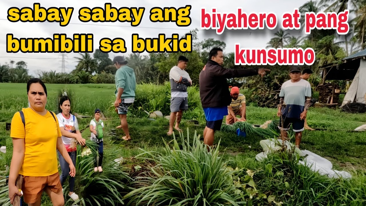 Sabay sabay ang mamimili sa bukid biyahero at pang kunsumo