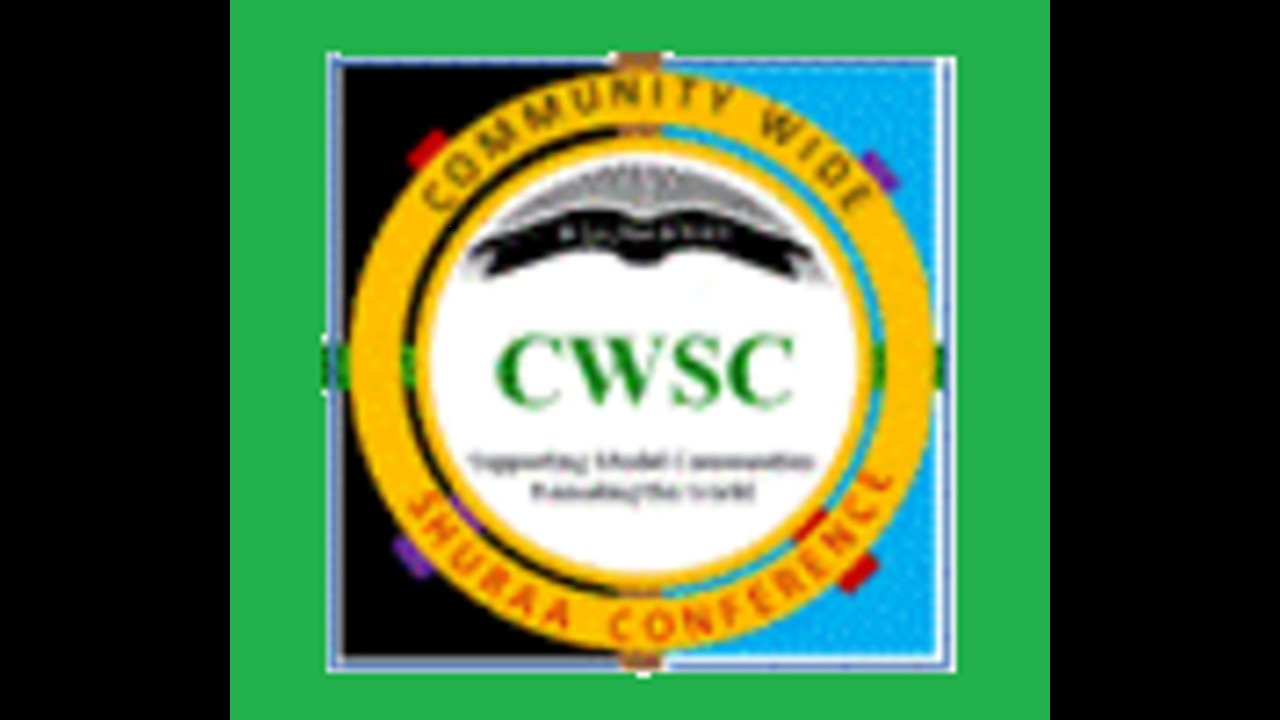 3/6/2026 CWSC Community Developmental Stages - Think Tank