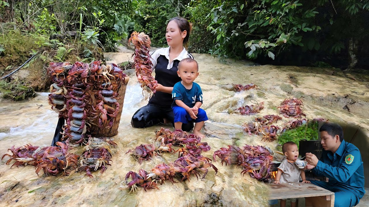 Heavy rain: Catching giant mountain crabs to sell at the market &ndash; How to steam crab for my son
