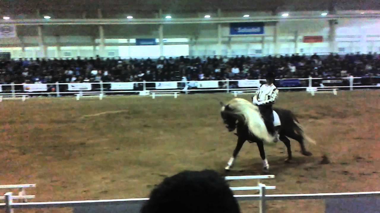 EQUIMUR 2016 - doma vaquera